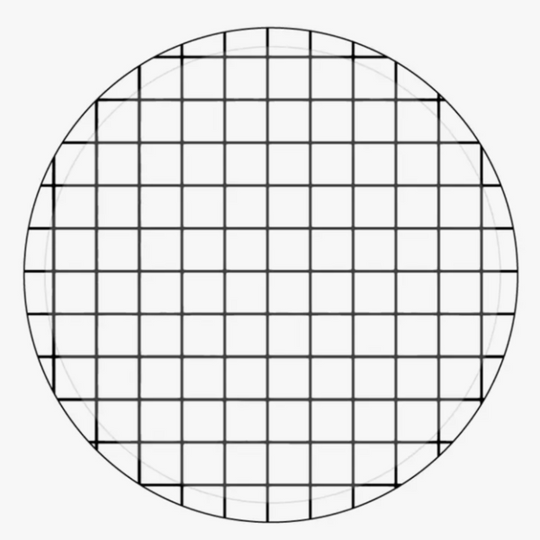 Low Rim Black and White Grid Large Paper Party Plates