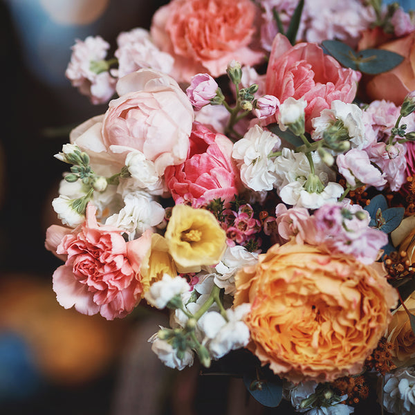 Flowers from Periwinkle